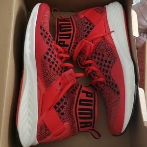 Puma ignite